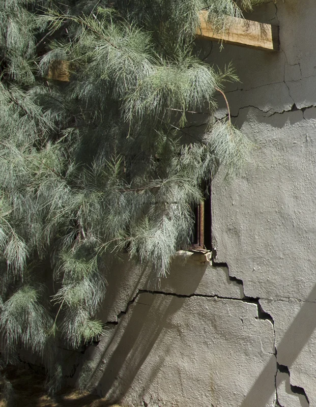 Note the rusty window frame...