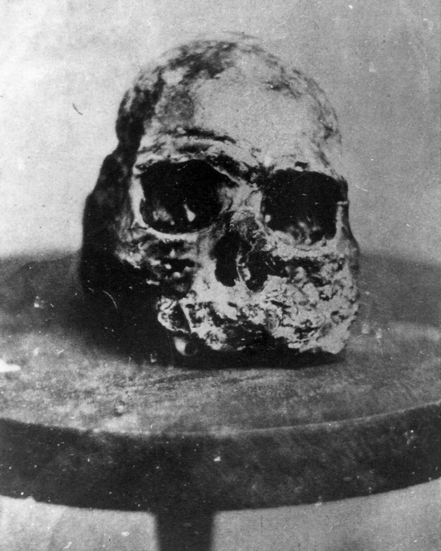 The Pliocene Skull
