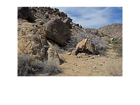 Johns Camp