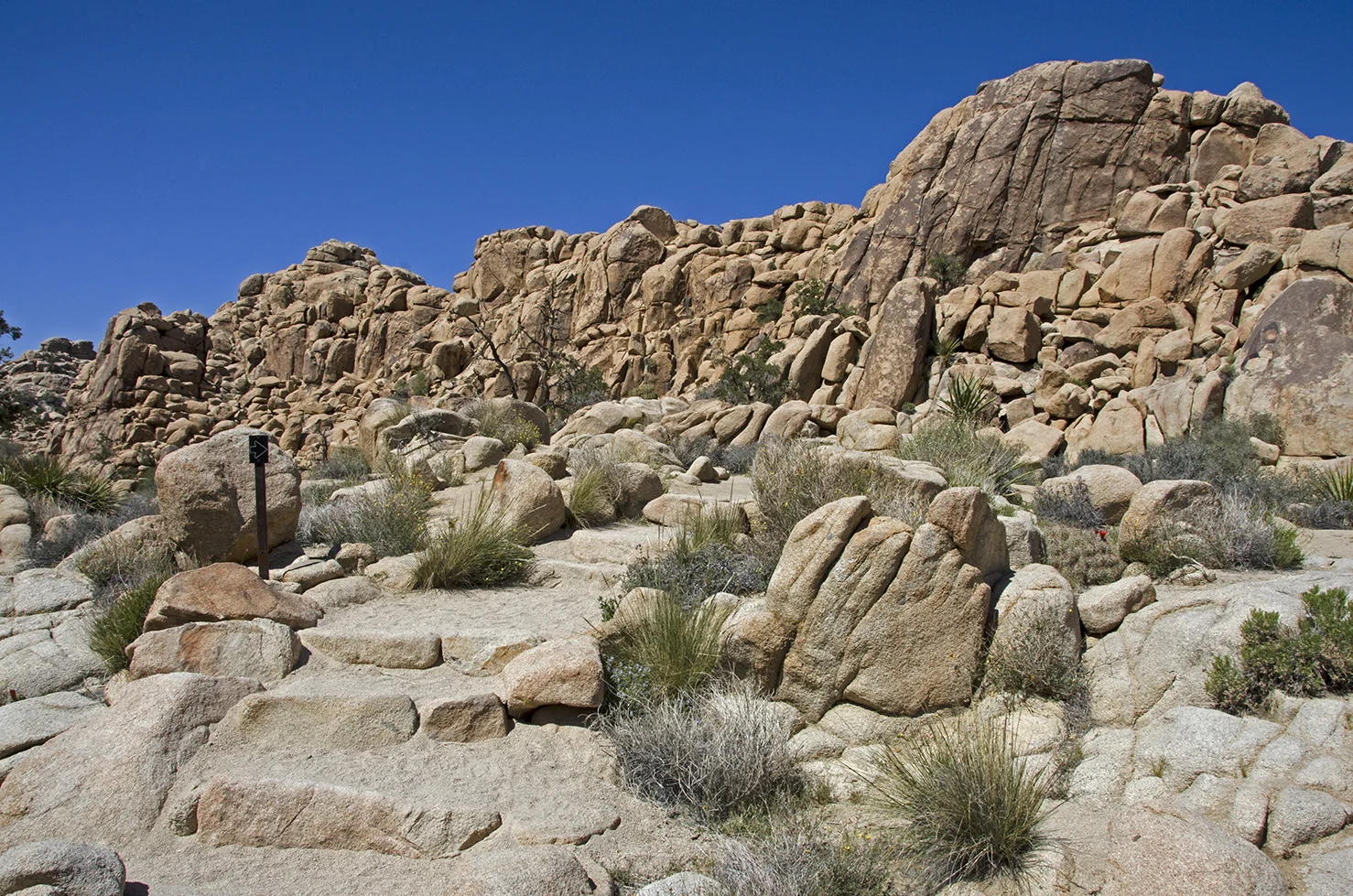 DSC_8545.jpg
