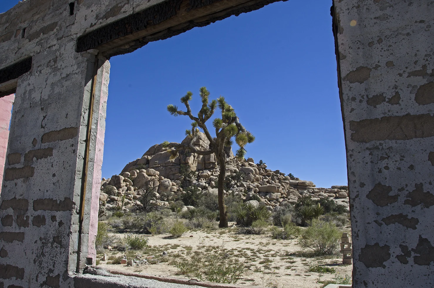 Picture window