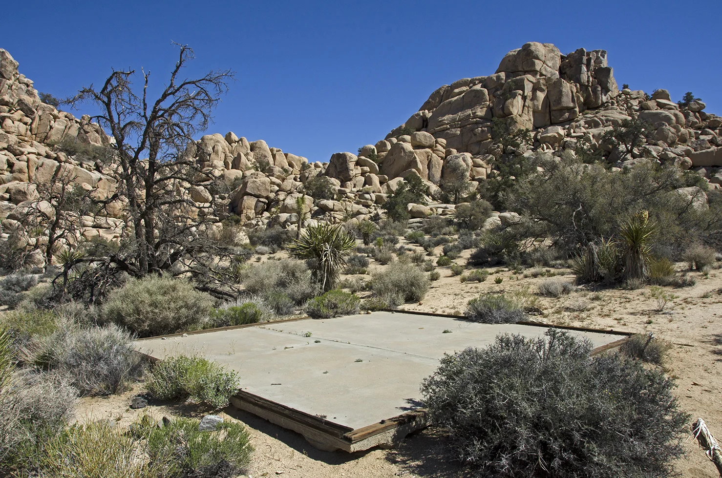 A storage shed probably once stood atop this cement pad.