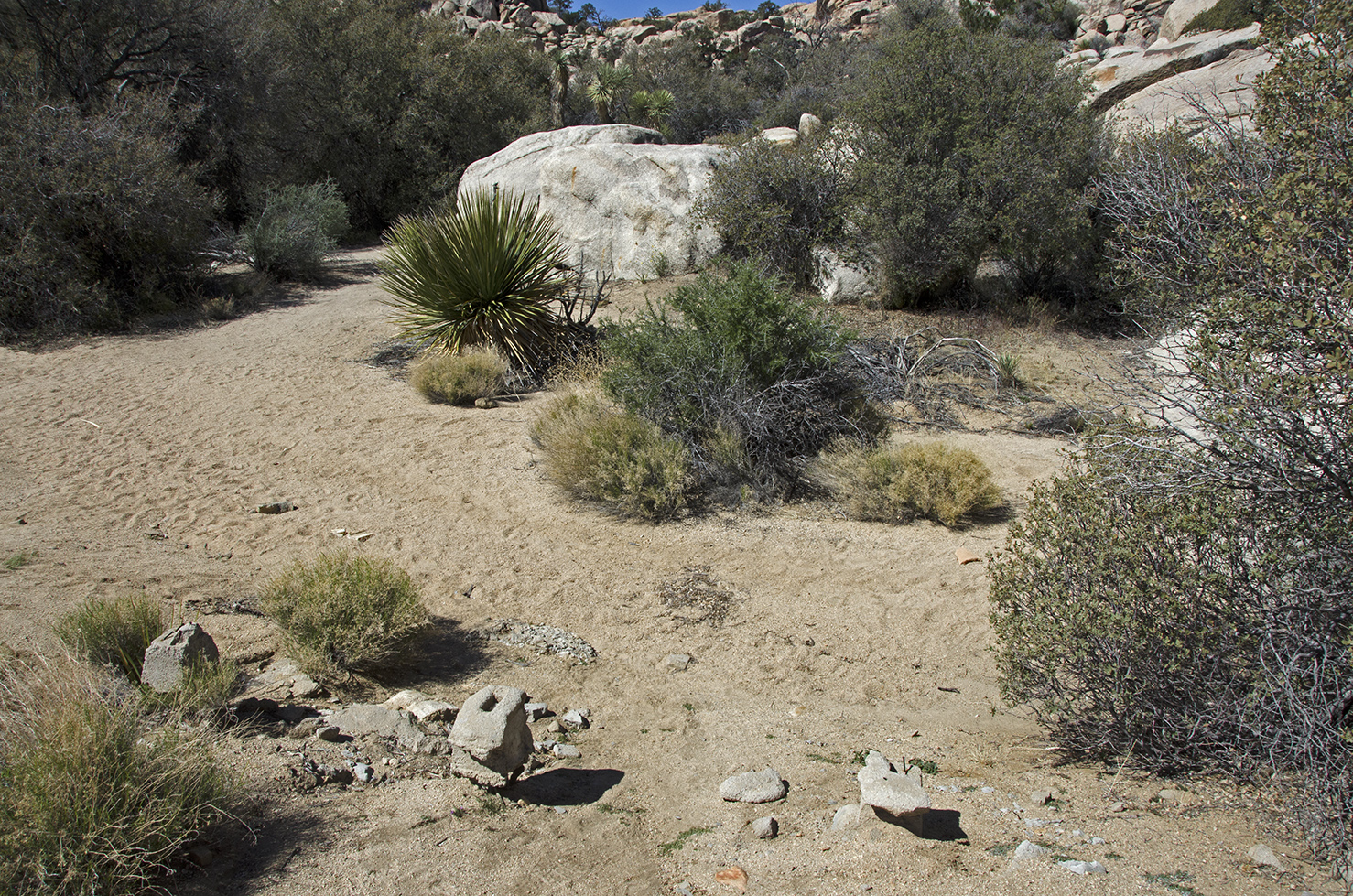 Cement footings in the foreground.