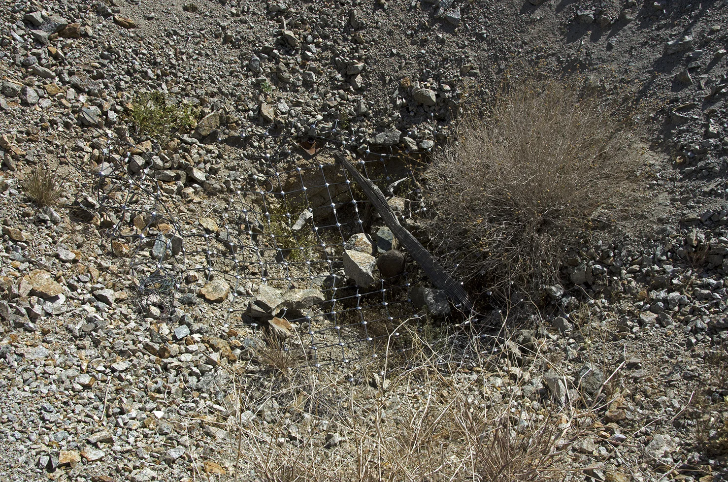One of the Anaconda Mine Shafts. Wire mesh covers the opening.