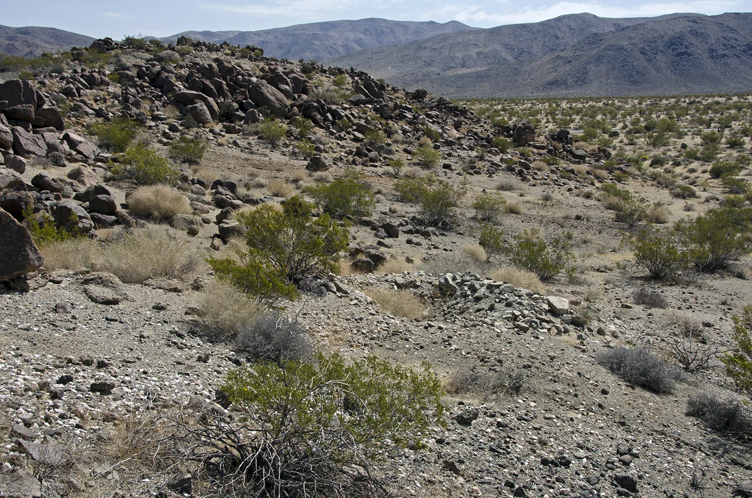 Getting closer to that little hill. Another small prospect hole in the center of this picture.