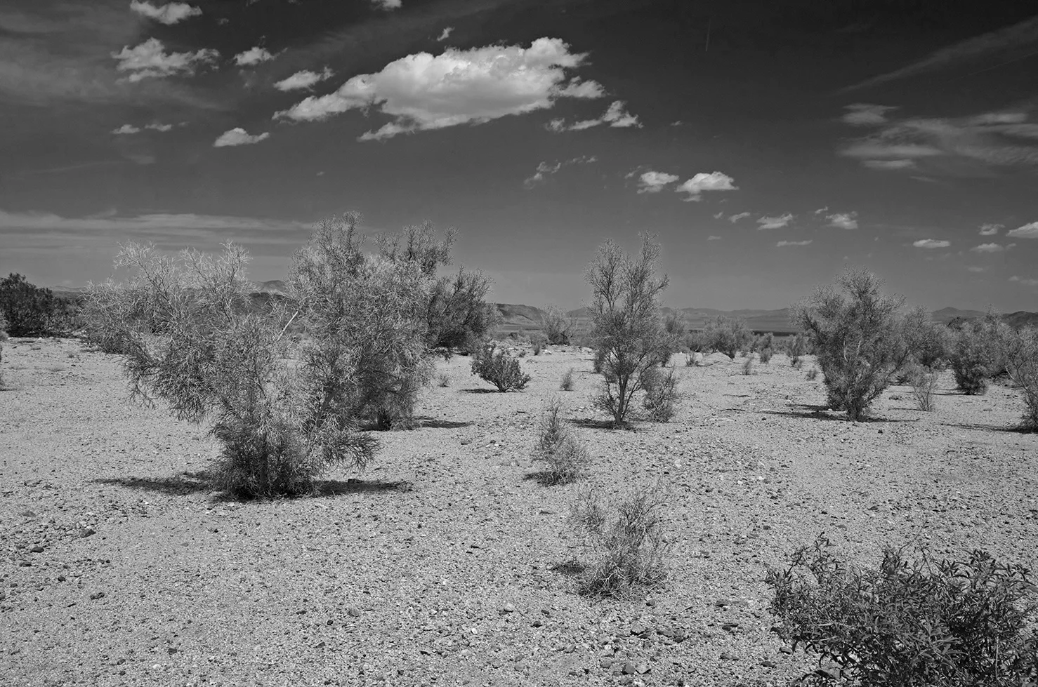 Attempting to invoke the spirit of Ansel Adams.