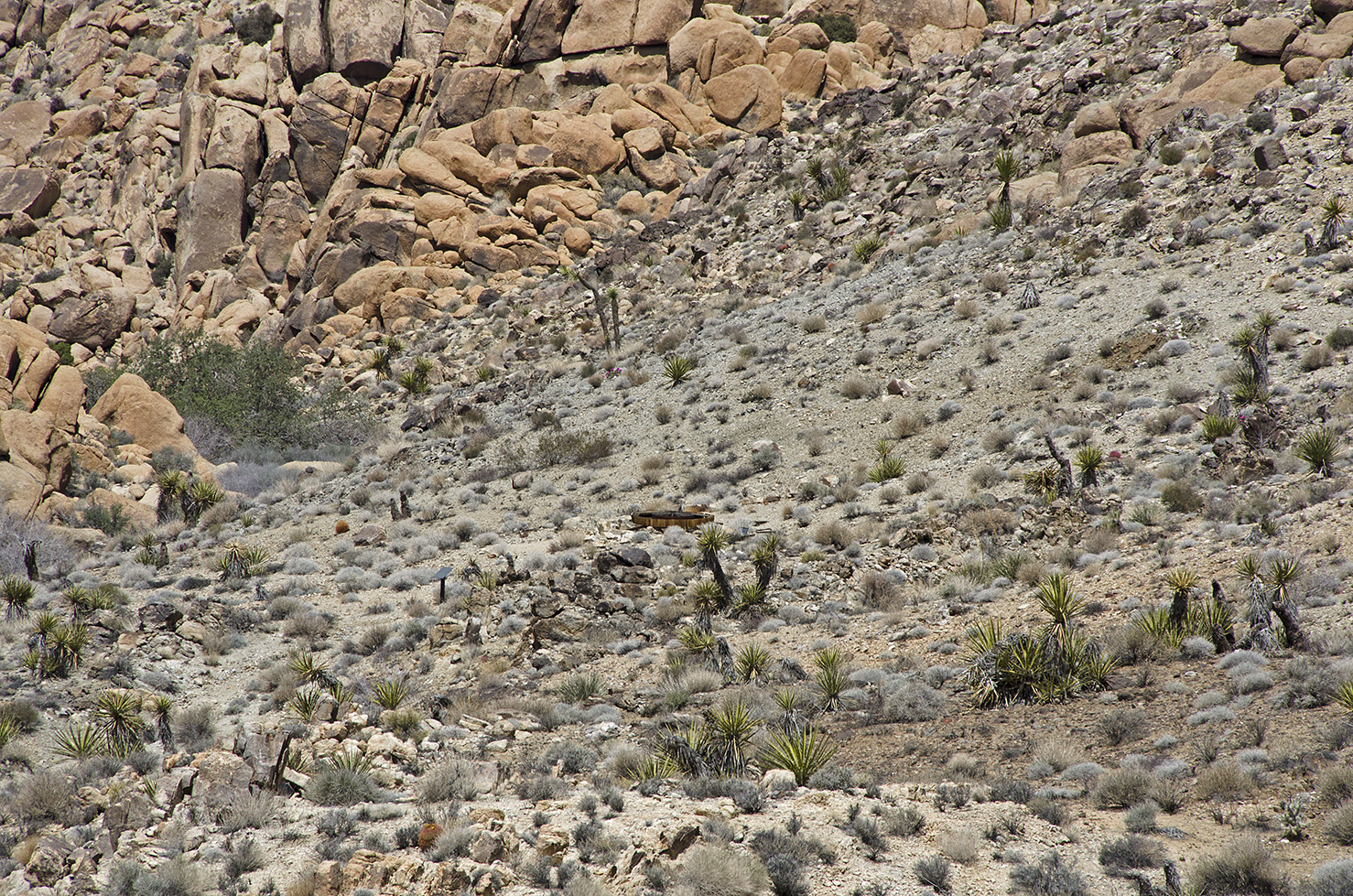 Telephoto view of the arrastra.