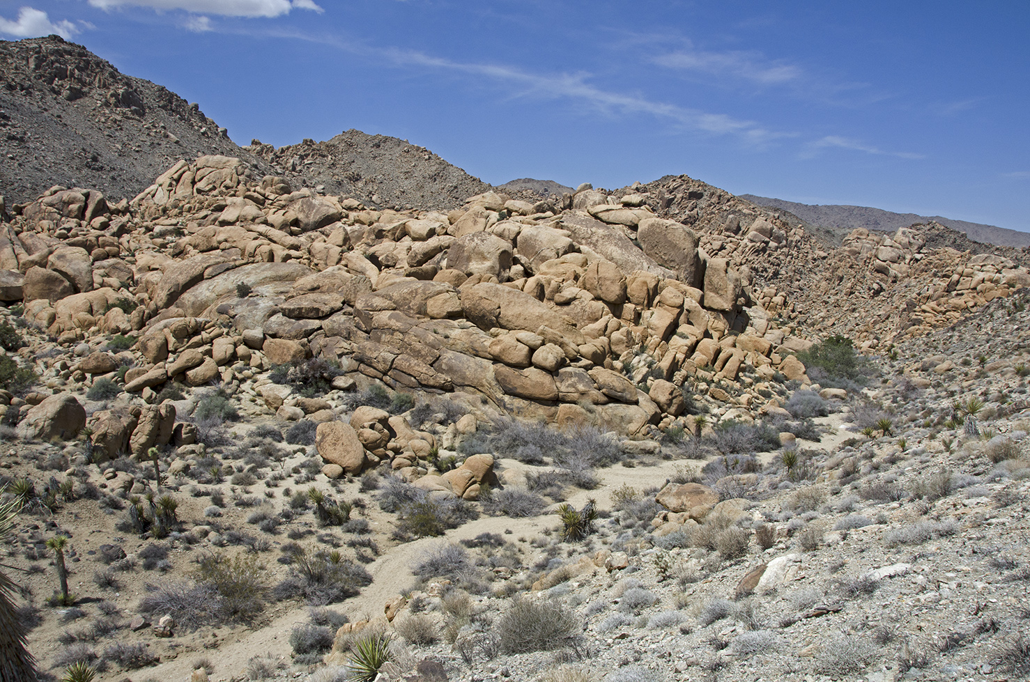 The wash below the arrastra, looking northwards.