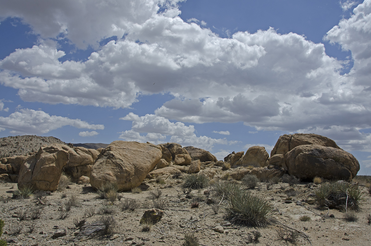 Those rocks look interesting....