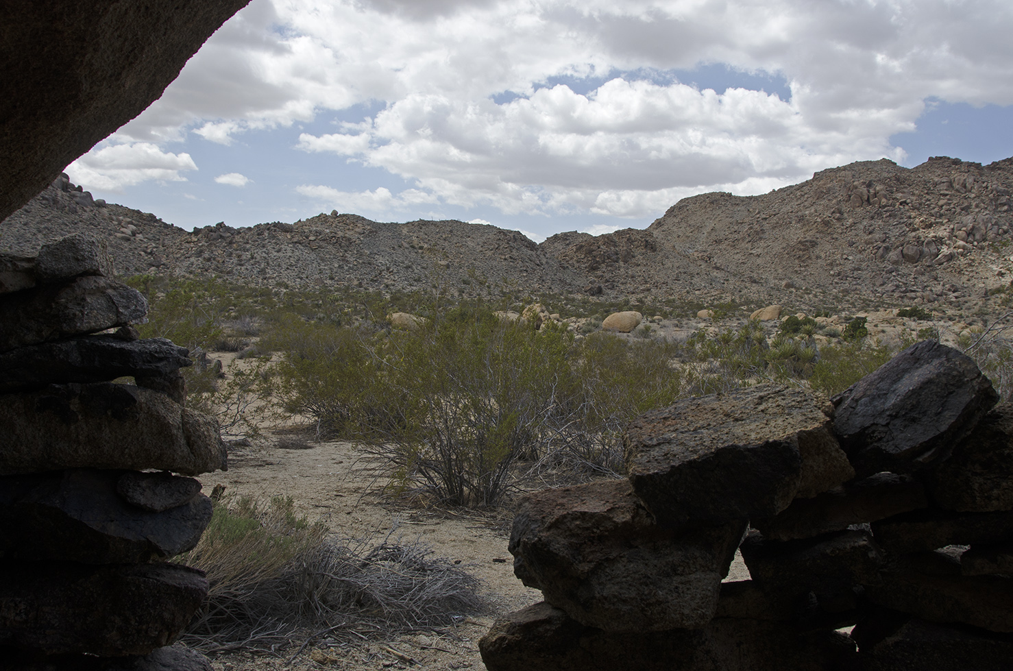 Looking out the front door.