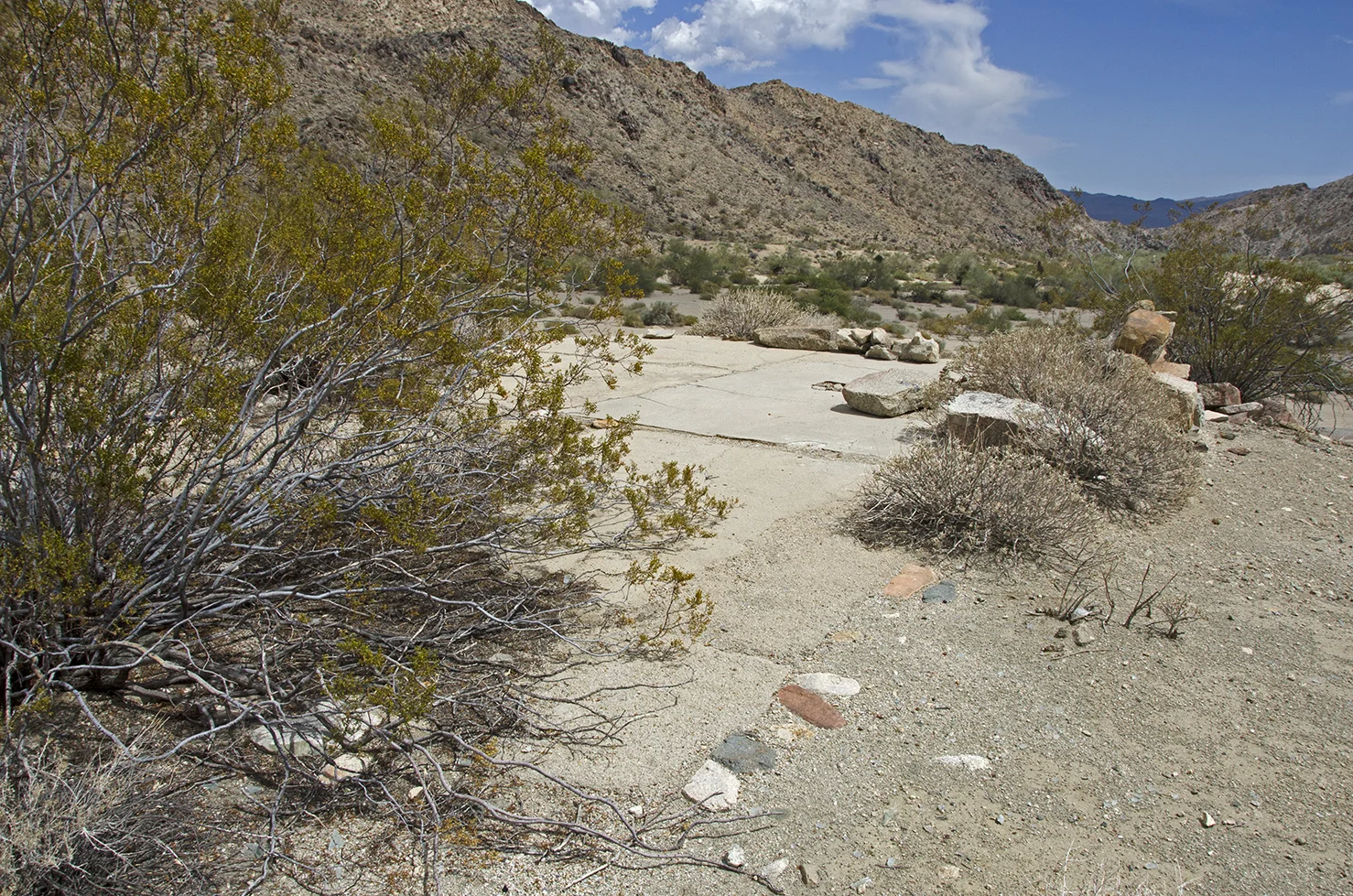 Concrete foundation for the Moorten Mill, looking south down the canyon.