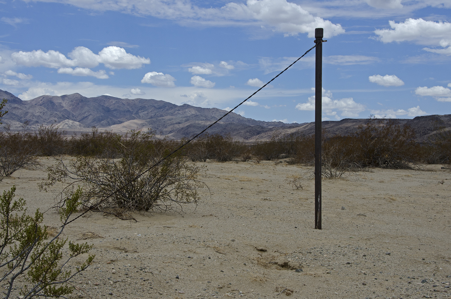 This may be the thing holding the entire desert together.