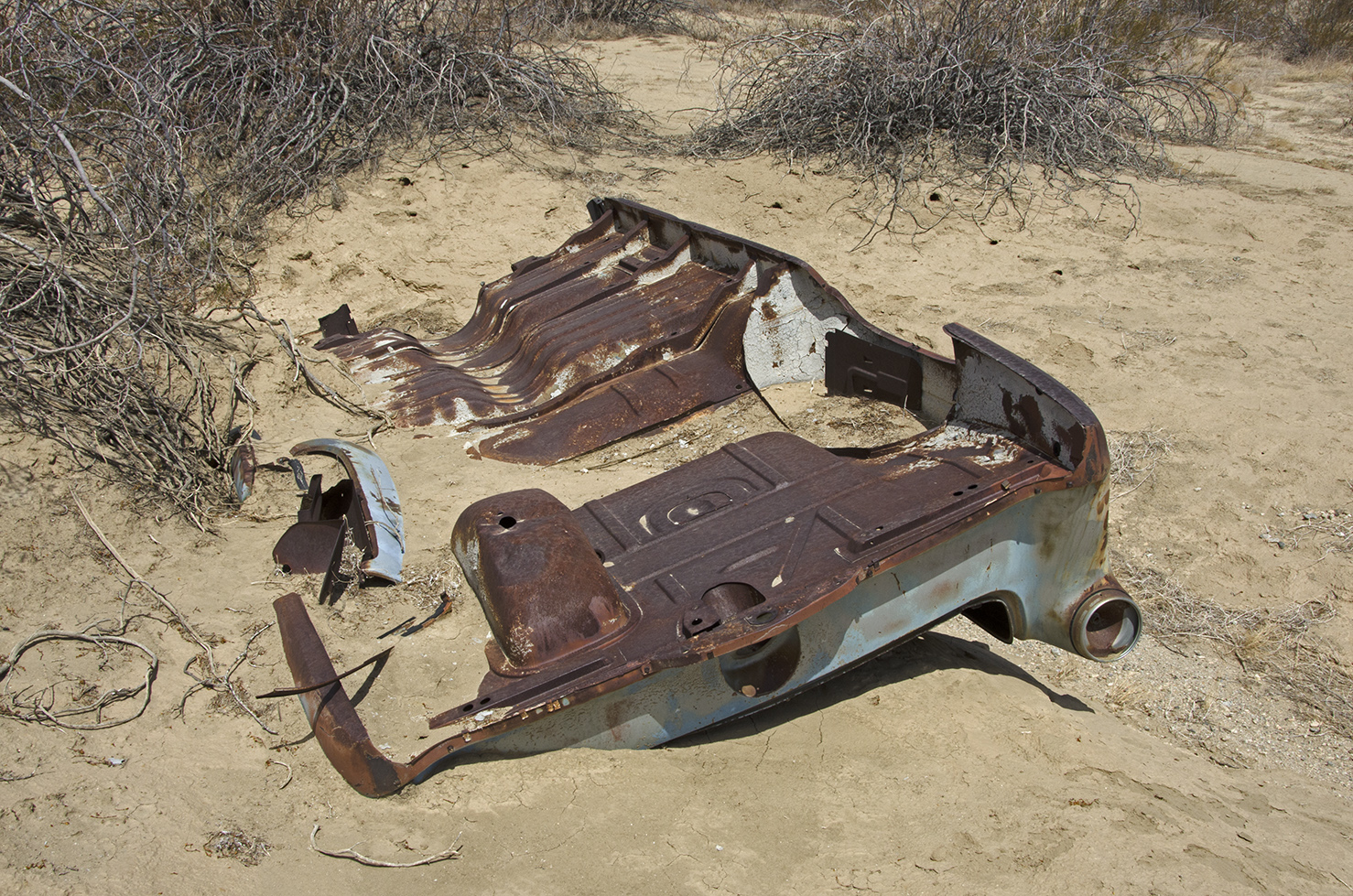 DSC_9719.jpg