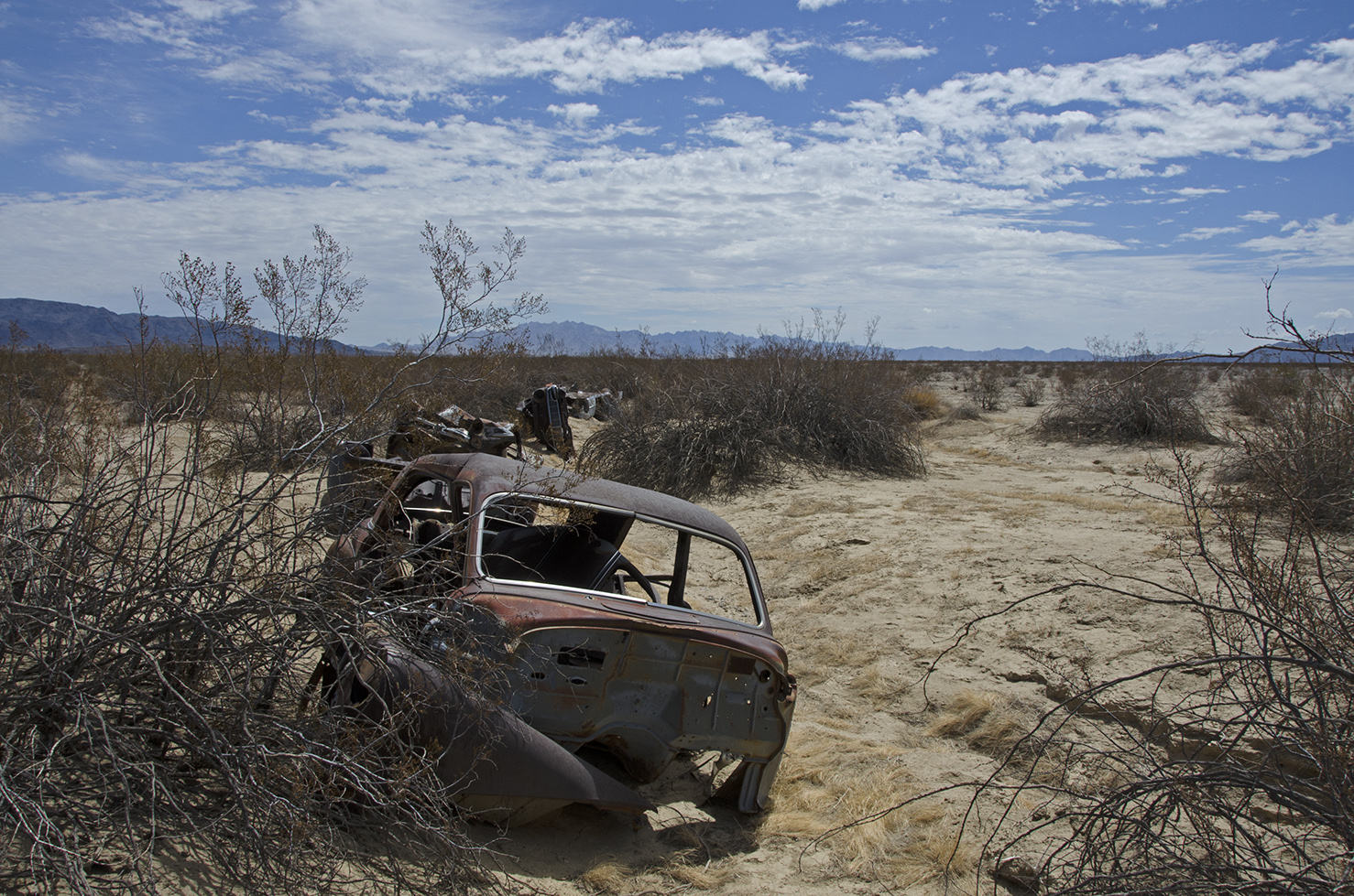 DSC_9734.jpg