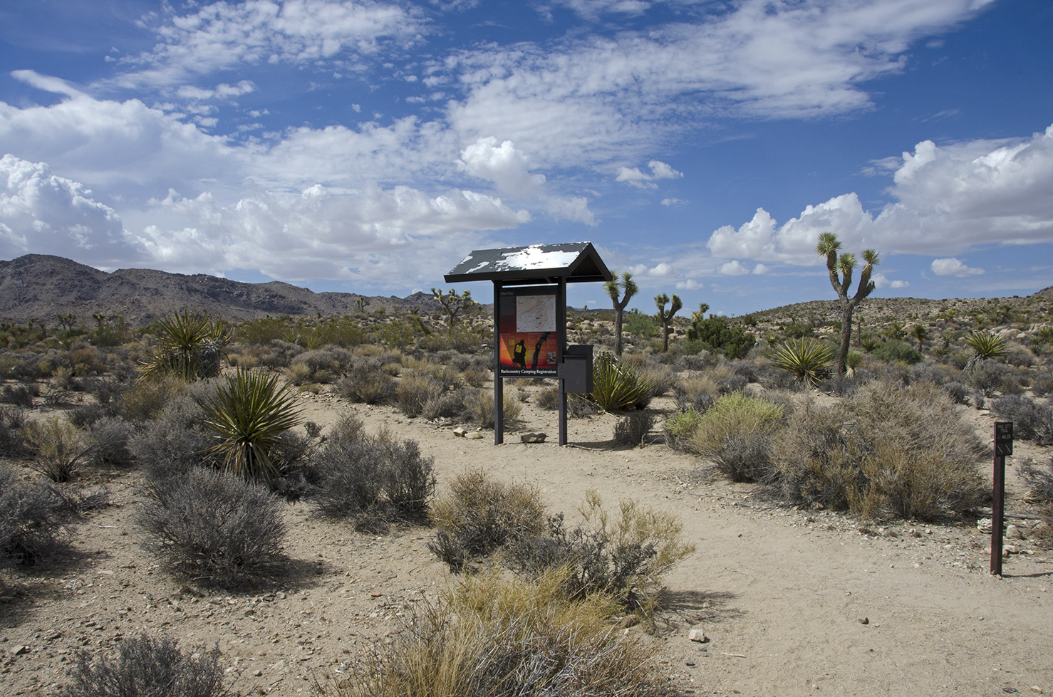 The trailhead