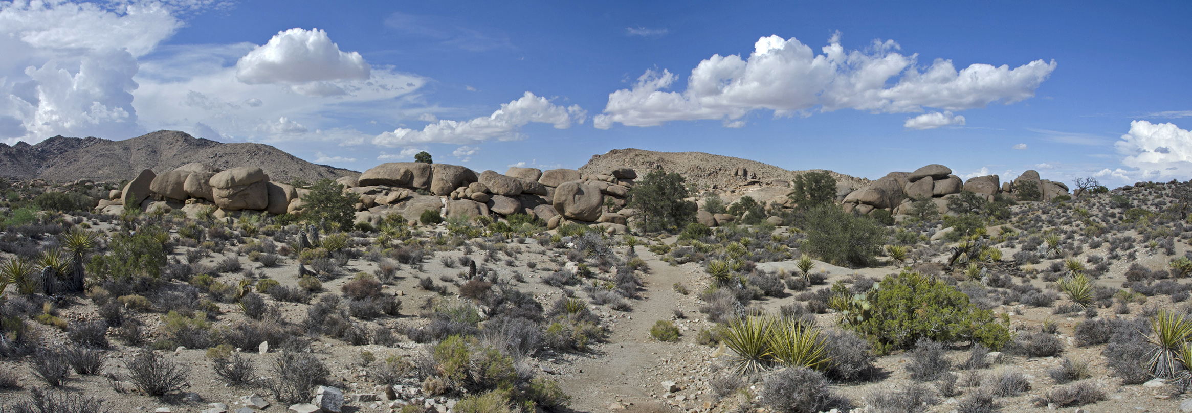 The pile of boulders that marks Pine City. You can also see some of the large Pinyon Pines it was named after.