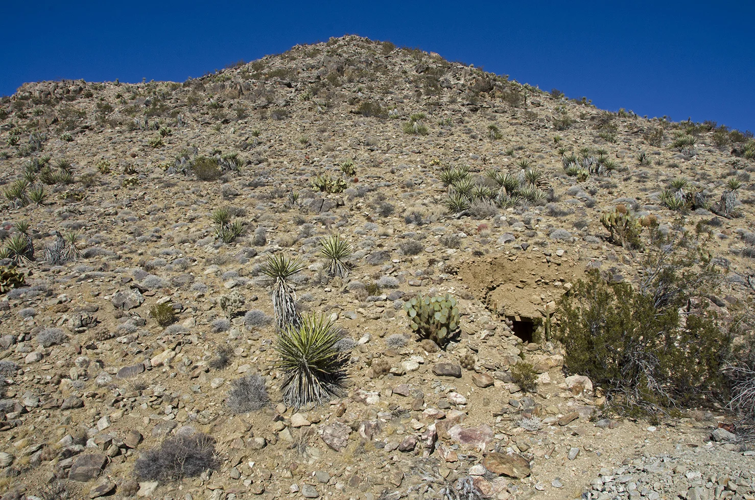 this view taken from atop the tailing piles in front of the mine, pretty much filling up the wash