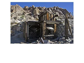 Mastodons in Joshua Tree National Park