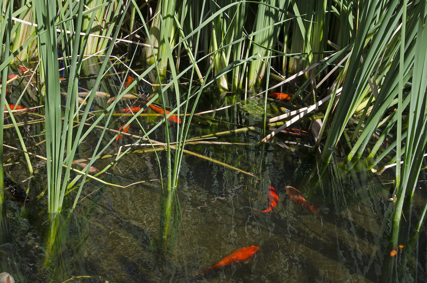 DSC_0330.jpg