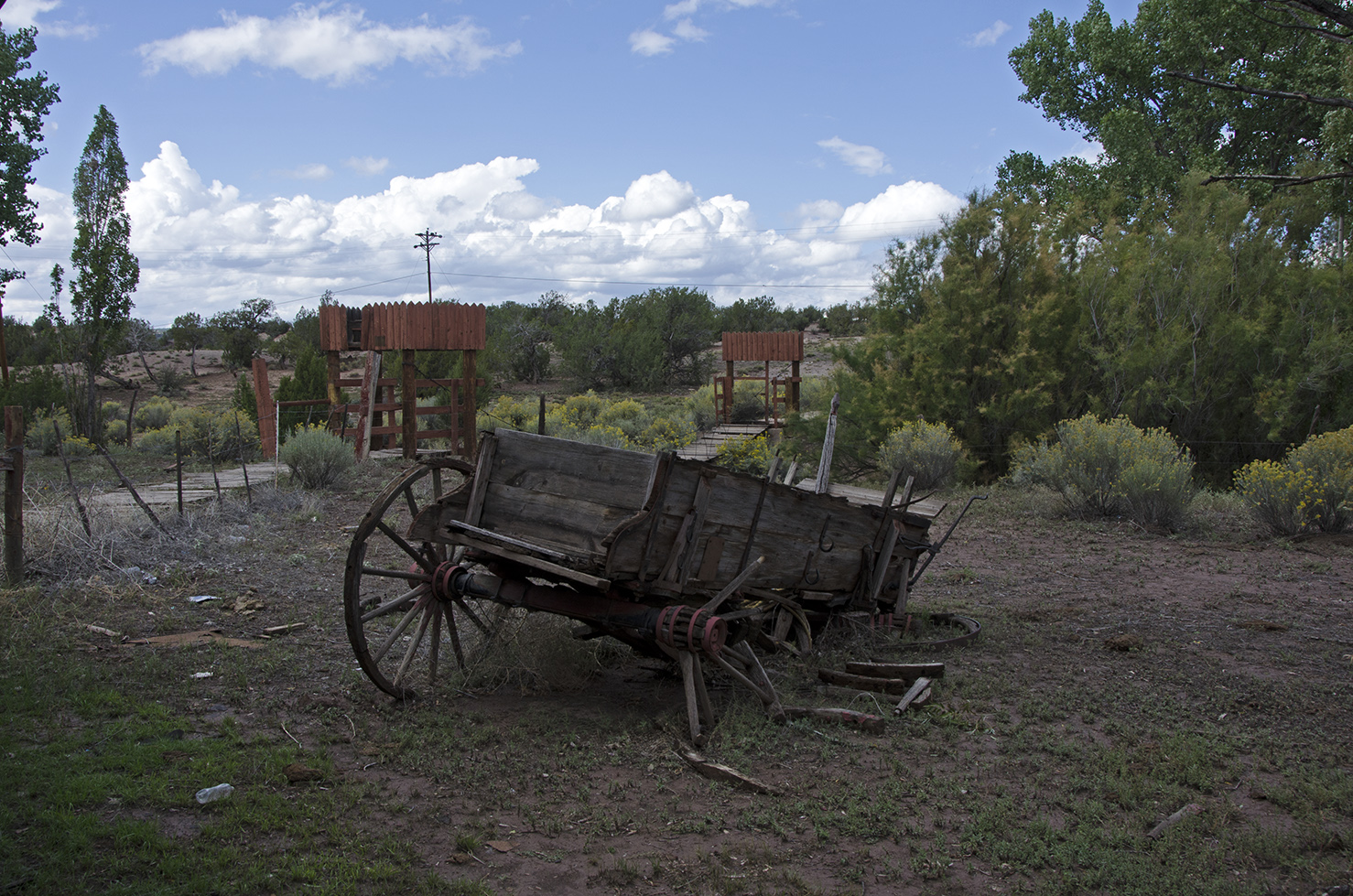 DSC_1051.jpg