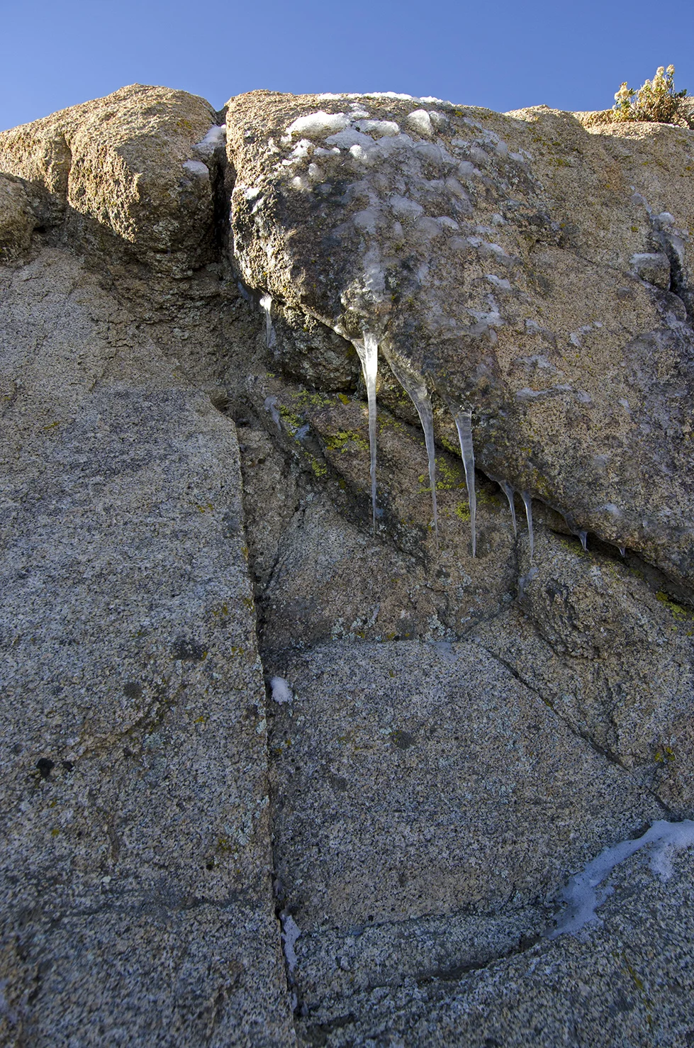 DSC_2248.jpg