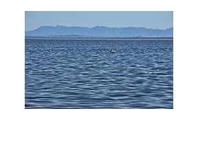 Salton Sea - Bombay Beach