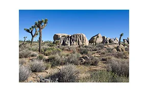 Traveling Geology Tour Road