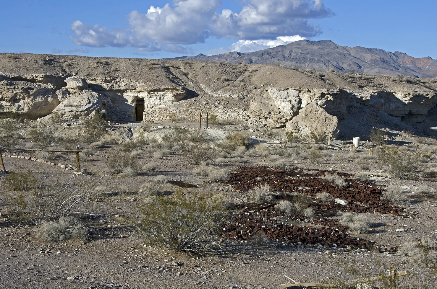 DSC_4747.jpg