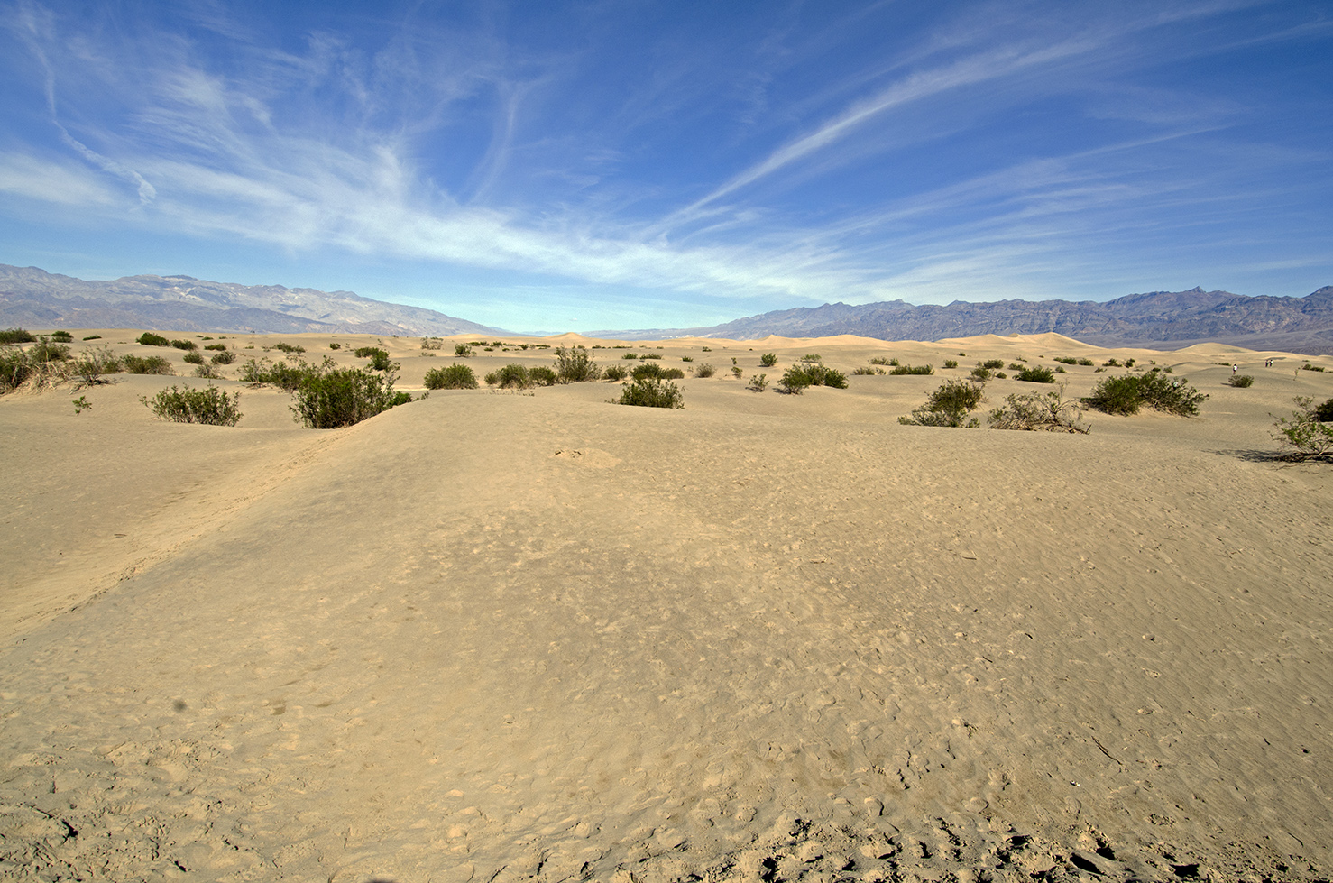Sand dunes: hotter than they look. And this looks hot.
