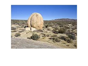 Stirrup Tank Wanderbout