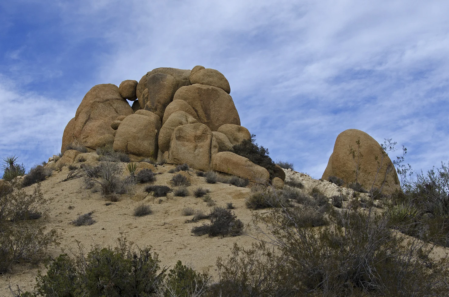 Skull Rock Trail - Joshua Tree NP 27.jpg