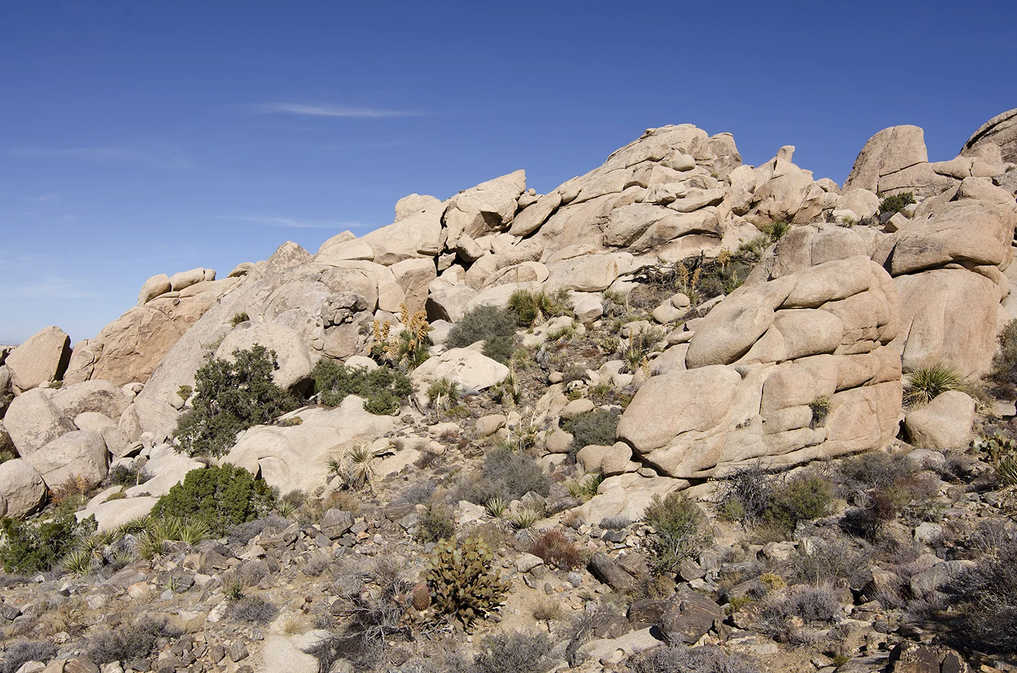 Joshua Tree NP - Oyster Bar 09.jpg