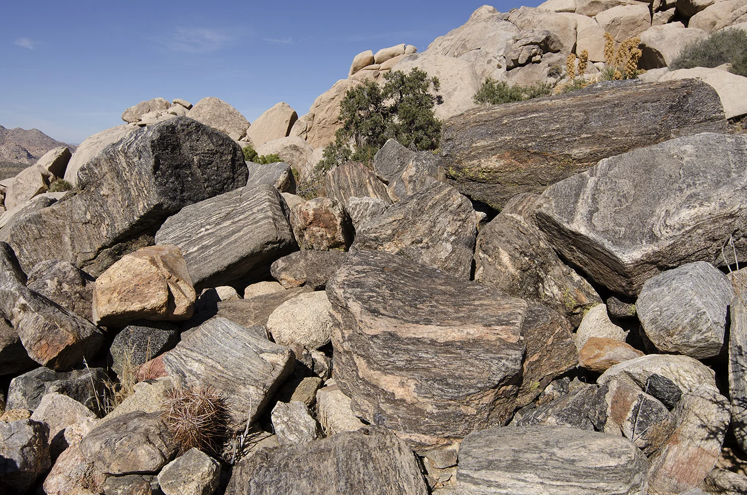 Joshua Tree NP - Oyster Bar 10.jpg