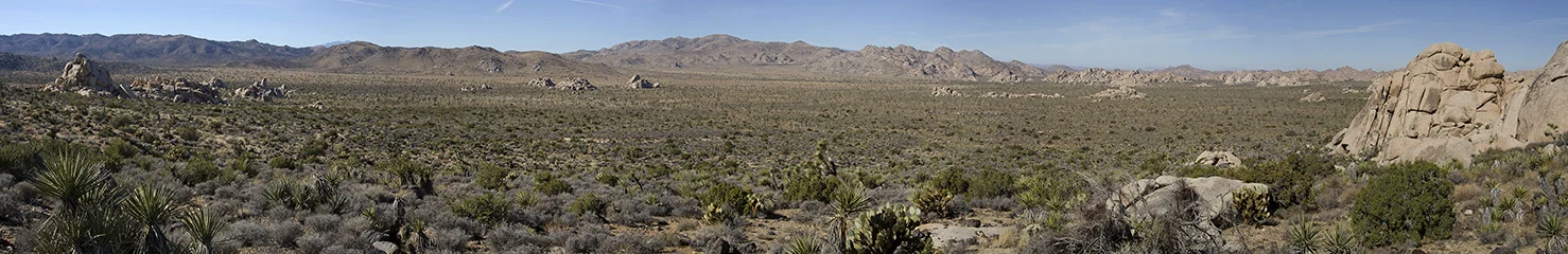 Joshua Tree NP - Oyster Bar 07 Pano Small 01.jpg