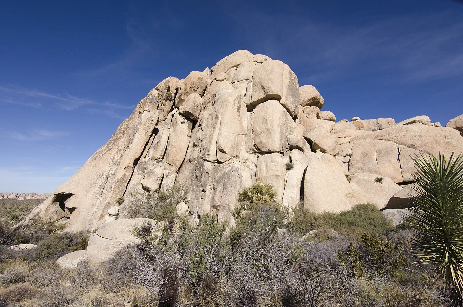 Oyster Bar Joshua Tree National Park — Cali49