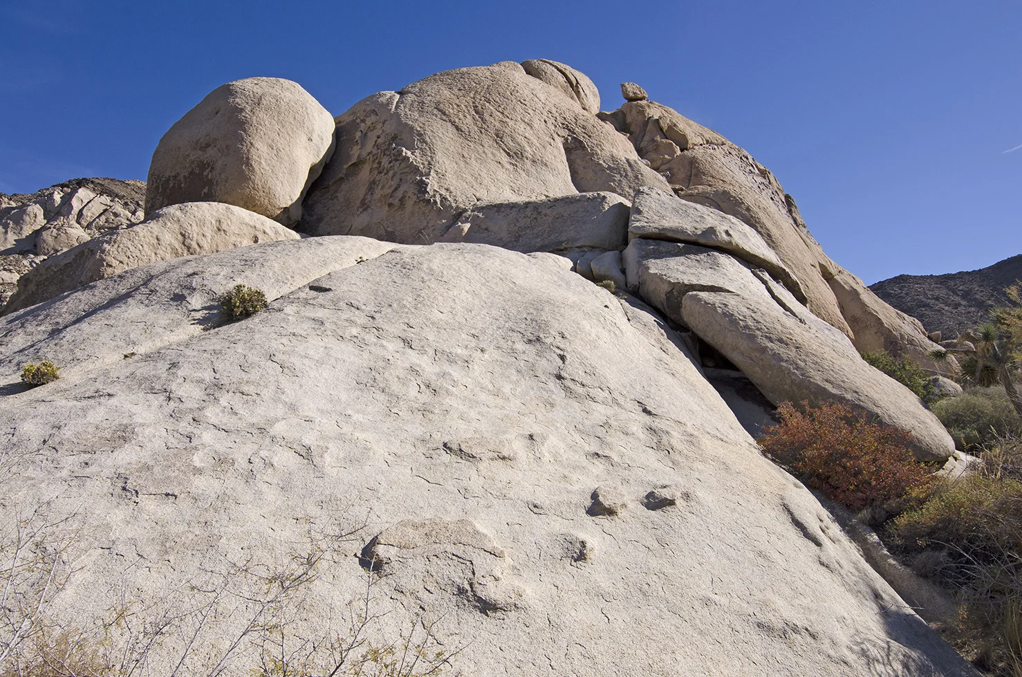 Joshua Tree NP - Oyster Bar 19.jpg
