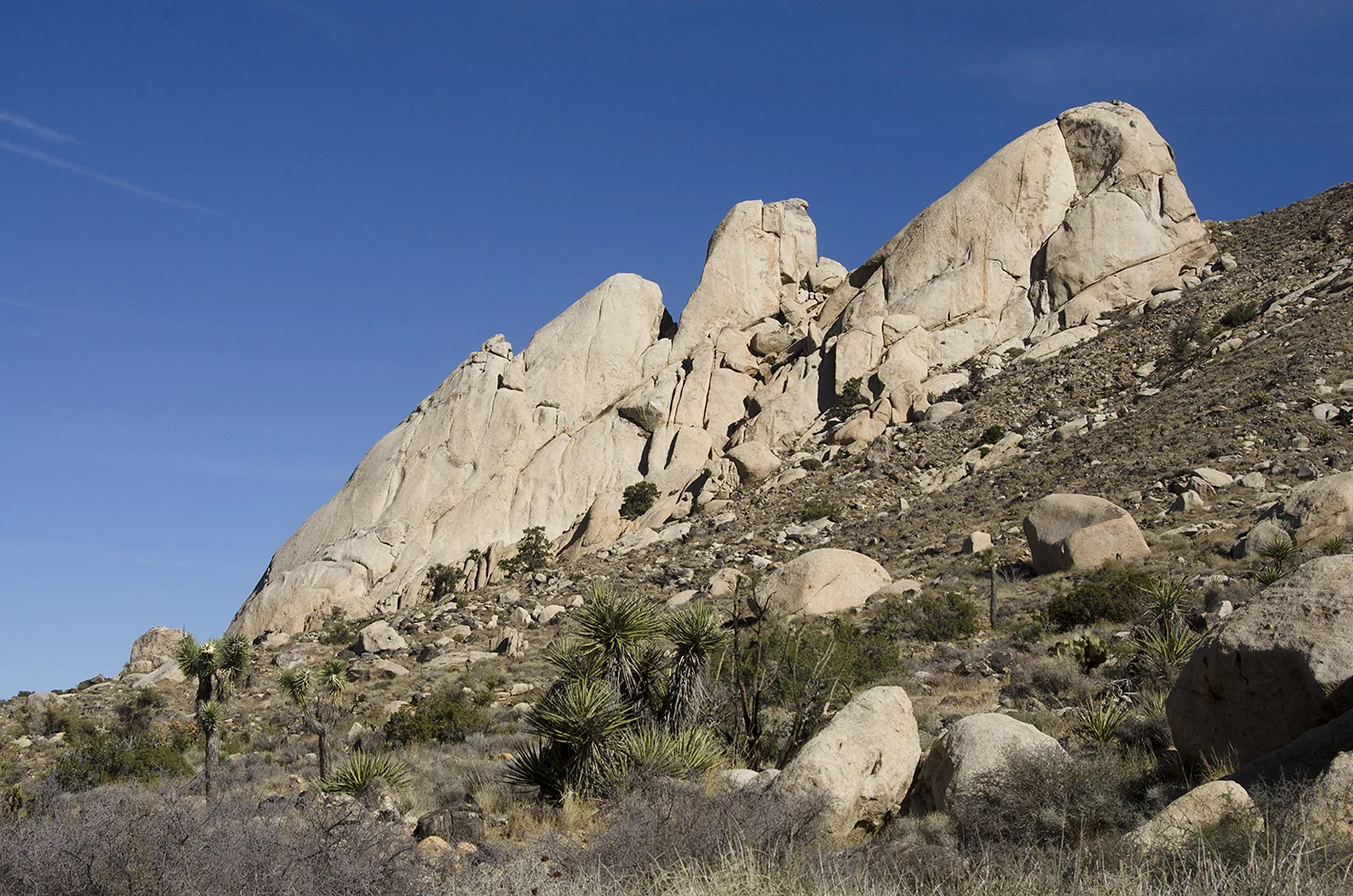 Joshua Tree NP - Oyster Bar 29 Saddle Rock View.jpg