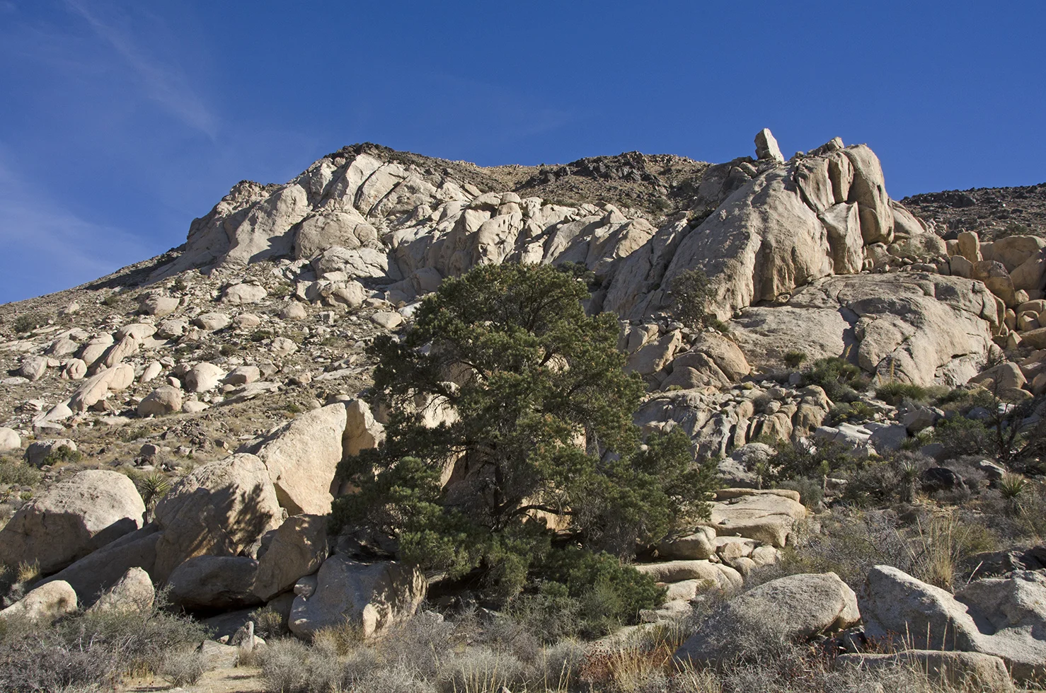 Joshua Tree NP - Oyster Bar 30 Cowboy Crag View.jpg
