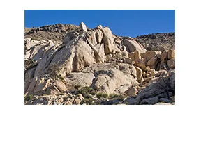 Oyster Bar - Joshua Tree National Park