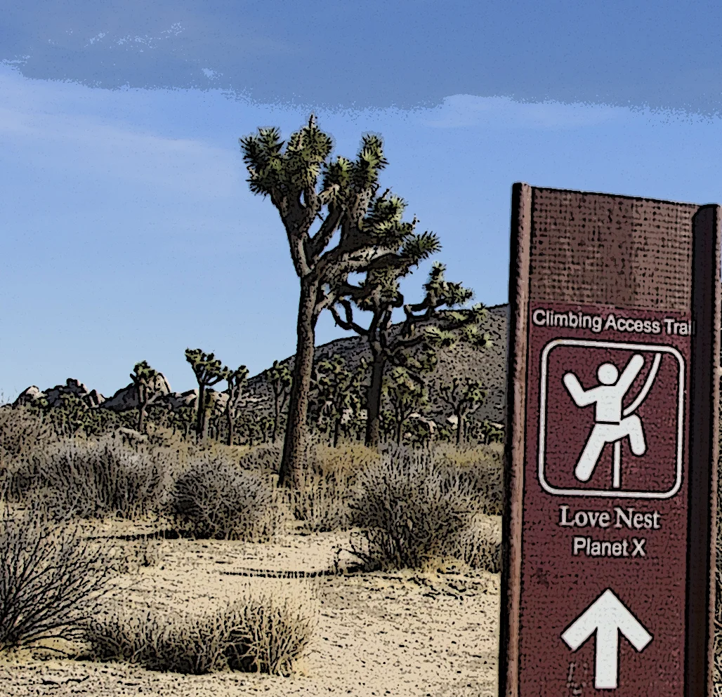 Joshua Tree NP - Planet X Area 01.jpg