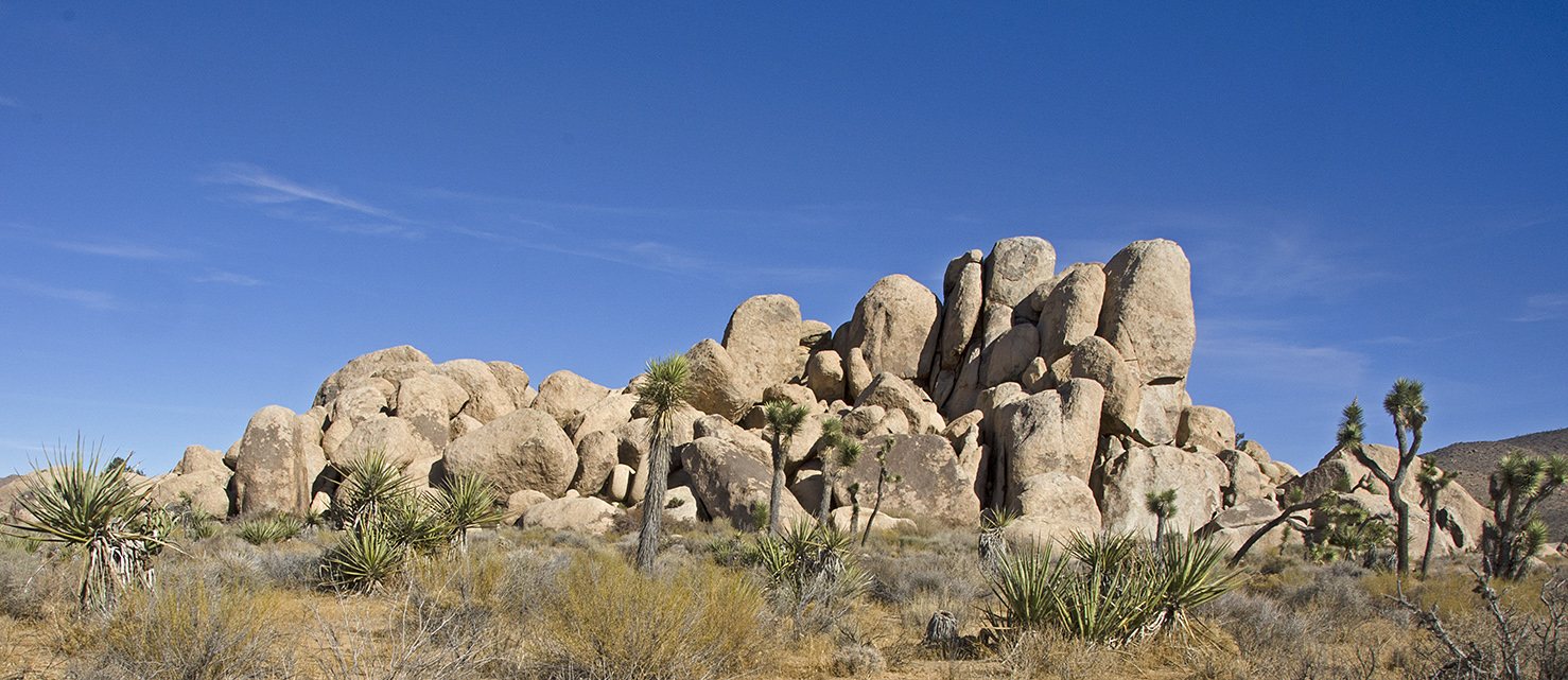 Joshua Tree NP - Planet X Area 02.jpg