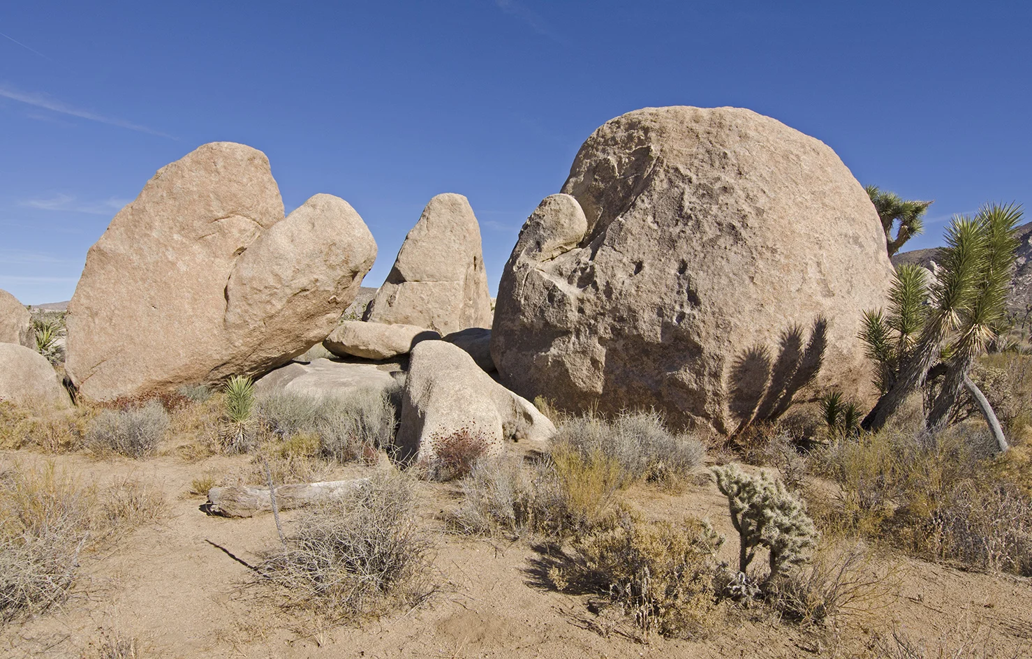 Joshua Tree NP - Planet X Area 08.jpg