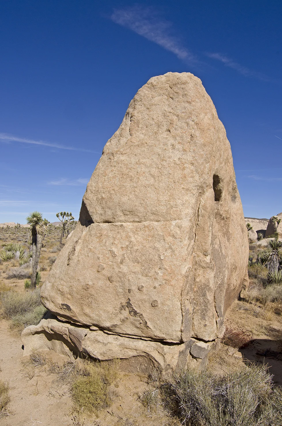 Joshua Tree NP - Planet X Area 10.jpg