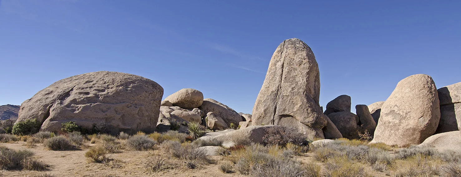 Joshua Tree NP - Planet X Area 13.jpg