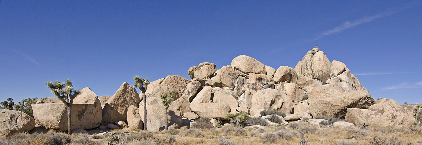 Joshua Tree NP - Planet X Area 14.jpg