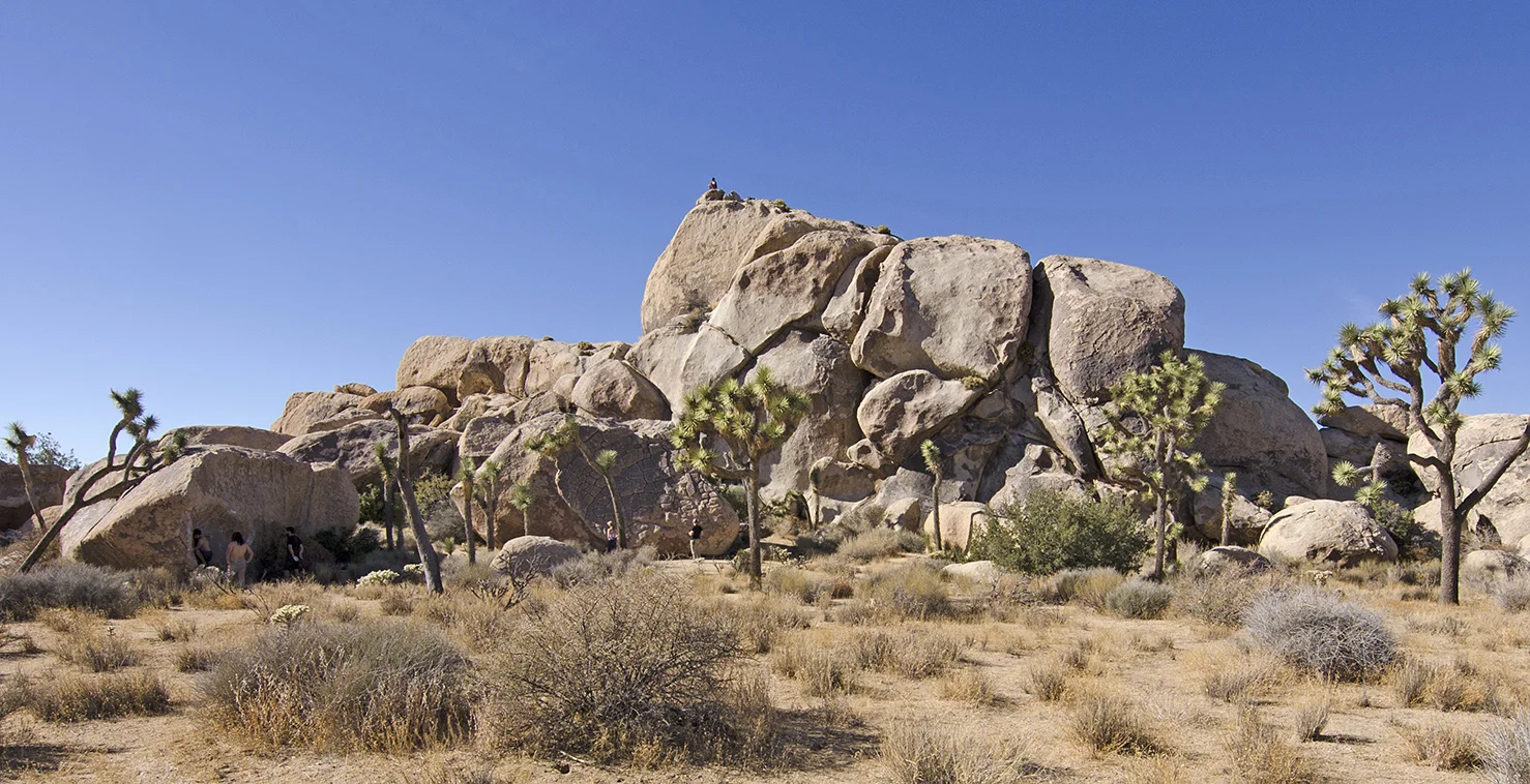 Joshua Tree NP - Planet X Area 20.jpg