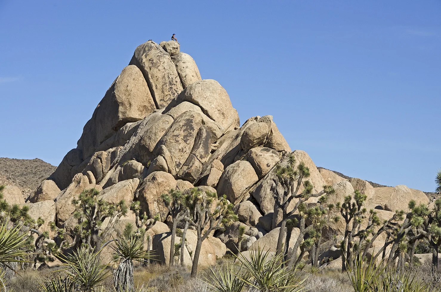 Joshua Tree NP - Planet X Area 25.jpg