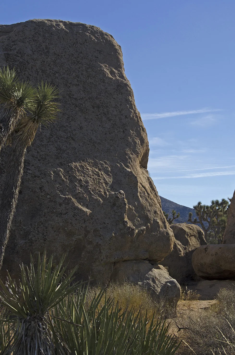 Joshua Tree NP - Planet X Area 29.jpg