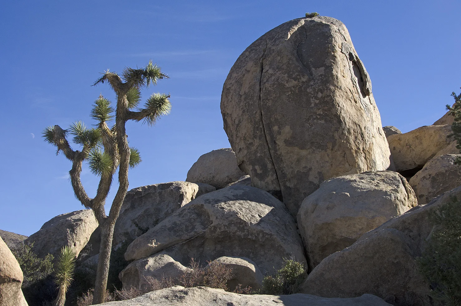 Joshua Tree NP - Planet X Area 30.jpg