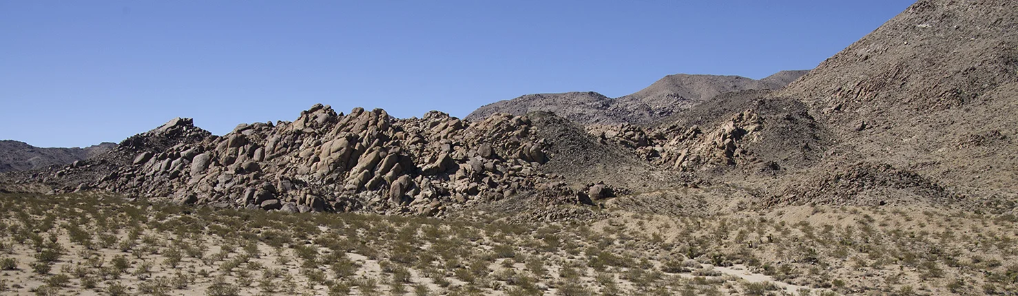 Mymine - Joshua Tree NP 01a.jpg